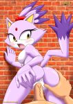  1girl 2017 anus bbmbbf big_breasts blaze_the_cat blush erect_nipples looking_at_viewer mobius_unleashed palcomix pussy sega sonic_(series) sonic_the_hedgehog_(series) vaginal_penetration veins veiny_penis 
