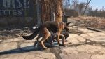  beastiality dogmeat fallout_4 gif knotted knotting 