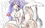  1girl blush breasts leg_lift long_hair niwata_senpei patchouli_knowledge penis purple_eyes purple_hair pussy sex sketch solo solo_focus text thighhighs touhou uncensored vaginal 