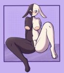 1girl 2021 absurd_res anthro areola beastars big_areola big_breasts breasts completely_nude domestic_rabbit ears_down fat_mons front_view full-length_portrait furry genitals harlequin high_res lagomorph leporid looking_at_viewer mammal mizuchi_(beastars) multicolored_body navel nude oryctolagus pivoted_ears plump_labia portrait pussy rabbit sitting spread_legs spreading two_tone_body umine