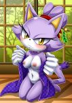  1girl 2017 barefoot bbmbbf blaze_the_cat blush breast erect_nipples looking_at_viewer mobius_unleashed palcomix pussy sega soles sonic_(series) sonic_the_hedgehog_(series) toes 