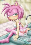  amy_rose bbmbbf mobius_unleashed palcomix sega 