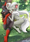  2girls anthro ass barefoot bbmbbf blue_eyes breasts canine cinccino furry looking_at_viewer nintendo nude palcomix pokemon pokepornlive presenting presenting_hindquarters soles toes video_games zorua 