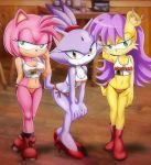  3girls amy_rose archie_comics bbmbbf blaze_the_cat hooters mina_mongoose mobius_unleashed palcomix sega sexy sonic_(series) sonic_the_hedgehog_(series) 
