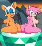  amy_rose dat_ass furry nipples nude rouge_the_bat sega sonic_the_hedgehog_(series) tagme whalewarrior123z 