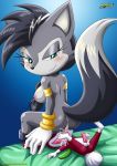  anilingus archie_comics bbmbbf chip_(sonic) furry light_gaia lupe_wolf mobius_unleashed palcomix penis sega sonic_(series) sonic_the_hedgehog_(series) 
