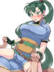  1boy 1girl blush boris_(noborhys) bouncing_breasts breasts cowgirl_position fire_emblem green_eyes green_hair holding_hands interlocked_fingers lyn lyndis_(fire_emblem) penis_in_pussy sitting_on_person vaginal 