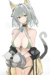  1girl breasts catgirl cute 