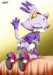  bbmbbf blaze_the_cat mobius_unleashed palcomix sega sonic_(series) sonic_the_hedgehog_(series) 