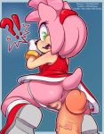  1girl amy_rose ass penis pussy sega sonic_(series) sonic_the_hedgehog_(series) the_other_half 