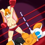  2girls absurd_res anthro bat big_breasts boxing breasts clothed clothing dreamcastzx1 duo high_res lagomorph large_breasts mammal nipples rabbit rouge_the_bat sega sport topless vanilla_the_rabbit video_games 