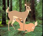  bambi disney faline photo_background theother 