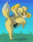  animal_crossing animmoral anus ass big_ass isabelle_(animal_crossing) nintendo presenting pussy spreading upskirt wet 