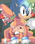  1girl anthro big_breasts blue_eyes blush breasts clothed clothing cloudz duo echidna furry hedgehog male mammal monotreme nipples nude penetration sega sex sonic_the_hedgehog sonic_the_hedgehog_(series) spread_legs spreading straight tikal_the_echidna topless underwater underwater_sex water 