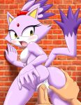  bbmbbf blaze_the_cat hand_on_ass mobius_unleashed palcomix sega sideboob sonic_(series) sonic_the_hedgehog_(series) standing_sex tagme vaginal_penetration 