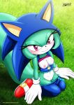  1girl archie_comics bbmbbf mobius_unleashed nipples palcomix purple_eyes pussy sega sonar_the_fennec sonic_(series) sonic_the_hedgehog_(series) 