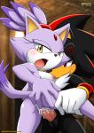  bbmbbf blaze_the_cat blush moan mobius_unleashed open_mouth palcomix sega shadow_the_hedgehog smirk sonic_(series) sonic_the_hedgehog_(series) stand_and_carry_position 