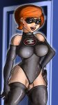  bodysuit breasts gloves helen_parr mask stockings the_incredibles thighs 