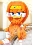  alluring bbmbbf breast feet mobius_unleashed palcomix pussy sega sonic_(series) sonic_the_hedgehog_(series) tikal_the_echidna 
