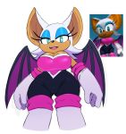 big_breasts rouge_the_bat sega sssonic2 stockings tanned tights wide_hips 