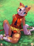  1girl 1girl anthro biped blue_eyes cameltoe clothed clothing dappled_light domestic_cat felid feline felis fully_clothed furboz grass light looking_at_viewer mammal on_ground panties pussy scarf shade sitting sunlight the_great_warrior_wall underwear xi_yue 