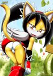 ass bbmbbf black_hair boots cat half-closed_eyes honey_the_cat looking_at_viewer mobius_unleashed open_mouth palcomix panties sega sonic_(series) sonic_the_hedgehog_(series) tail upskirt wings 