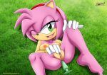  1girl amy_rose anal_penetration bbmbbf breast butt_plug mobius_unleashed palcomix pussy sega sex_toy smile sonic_(series) sonic_the_hedgehog_(series) 
