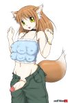 agent_orange futanari horo multiple_breasts spice_and_wolf