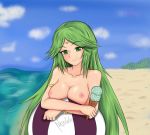  1girl 1girl breasts female_only green_hair ice_cream kid_icarus palutena 
