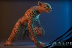  1girl cheetah tribal wild_life wildlife_(video_game) zuri 