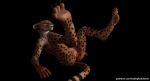  1girl cheetah nude spread_legs taken waiting wild_life wildlife_(video_game) zuri 