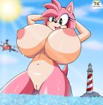  1girl 2boys aircraft airplane amy_rose big_breasts breasts canid canine chaosknight_1 eulipotyphlan fox giantess hands_behind_head hedgehog huge_breasts hyper hyper_breasts macro mammal miles_&quot;tails&quot;_prower nipples nude pussy sega size_difference sonic_the_hedgehog tails water 