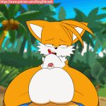  gif kingofacesx miles_&quot;tails&quot;_prower sonic sonic_the_hedgehog tagme yaoi 