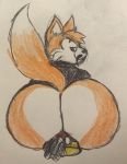  ass big_ass blush facesitting filthyopossum fox male/male male_only mr._mccloud mr._mchatterson orange_fur partially_clothed purple_eyes red_eyes yaoi 