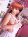 aerisdies against_wall apron ayane_(doa) breasts cg dead_or_alive highres human human_only kasumi kasumi_(doa) kitchen lipstick long_hair makeup naked_apron nipples open_clothes open_shirt orange_hair photo_(object) photoshop red_eyes red_hair refrigerator shirt sideboob tagme watermark