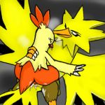  bird combusken nintendo pokemon zapdos 