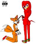  3pac knuckles_the_echidna miles_&quot;tails&quot;_prower multiple_tails sega sonic_(series) tail 