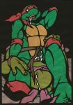  donatello raphael t_m_n_t teenage_mutant_hero_turtles teenage_mutant_ninja_turtles 