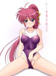  1girl bare_shoulders blue_eyes blush breasts competition_swimsuit erect_nipples legs long_hair lyrical_nanoha mahou_shoujo_lyrical_nanoha mahou_shoujo_lyrical_nanoha_a&#039;s mahou_shoujo_lyrical_nanoha_strikers narutaki_shin nipples one-piece_swimsuit pink_hair ponytail see-through signum skin_tight solo spread_legs swimsuit swimsuit_aside thighs translated undressing 
