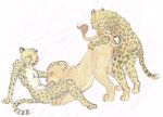  cheetah disney nala the_lion_king 