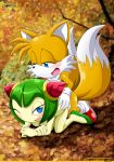  bbmbbf cosmo_the_seedrian miles_&quot;tails&quot;_prower mobius_unleashed multiple_tails palcomix sega sonic_(series) sonic_the_hedgehog_(series) sonic_x tagme tails 