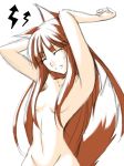  animal_ears holo horo nude ribi spice_and_wolf tail wolf_ears 