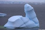  cool iceberg inanimate penis tagme 