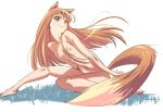  1girl animal_ears bad_id brown_hair flat_chest holo horo long_hair nude p.k. red_eyes smile solo spice_and_wolf tail 