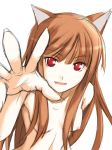  animal_ears brown_hair holo horo nude red_eyes ribi spice_and_wolf white_background wolf_ears 