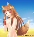  1girl 6u_(eternal_land) apple apples food fruit holding holding_apple holding_fruit holo horo kiyu nude solo spice_and_wolf 