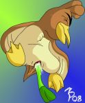  bird farfetch&#039;d pokemon tagme 