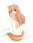  animal_ears cyprus holo horo spice_and_wolf tail wolf_ears 