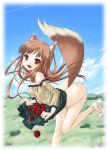  alto_seneka animal_ears apple apples bare_shoulders brown_hair fang food fruit holo horo long_hair no_panties red_eyes skirt skirt_lift sky spice_and_wolf tail wolf_ears 