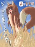  animal_ears blush brown_hair holo horo long_hair nude red_eyes shouseki_(pixiv75889) spice_and_wolf tail translated wheat wolf_ears 
